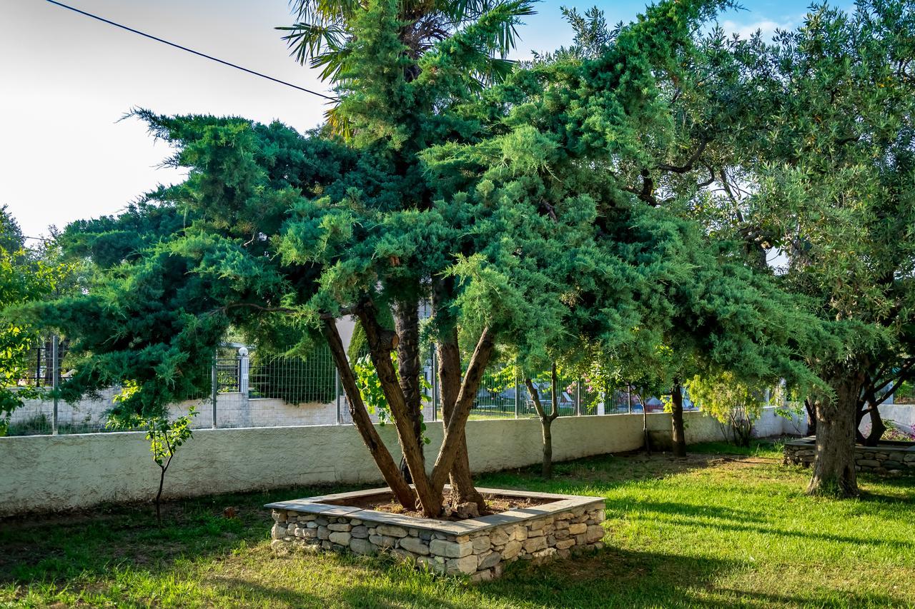 Villa Dafni Studios Лименас Екстериор снимка
